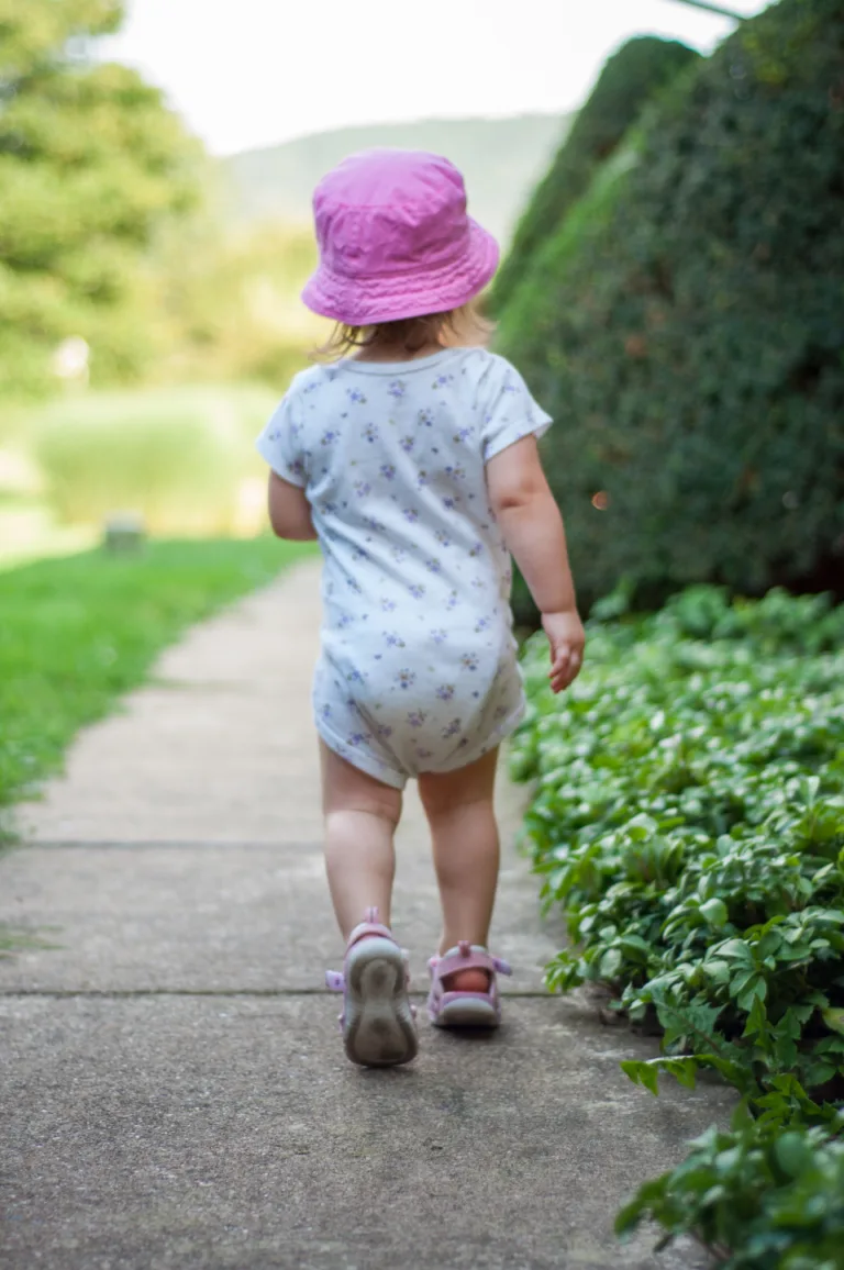 The Vestibular System's Role in Walking The Vestibular System's Role in Walking
